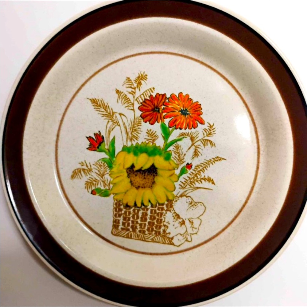 Vintage Studio Glaze by Mikasa Sunny DayP2409 Japan set of 4 10.5” Dinner Plates